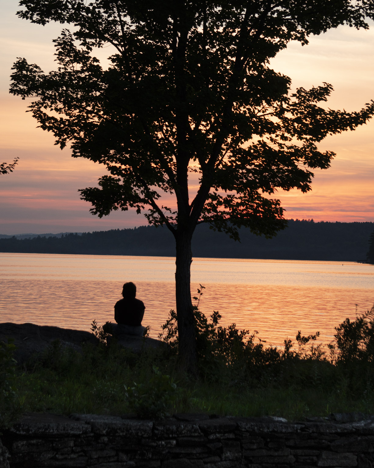 A maple stands near a lake orange and pink with sunset, someone sits sillouetted on a rock